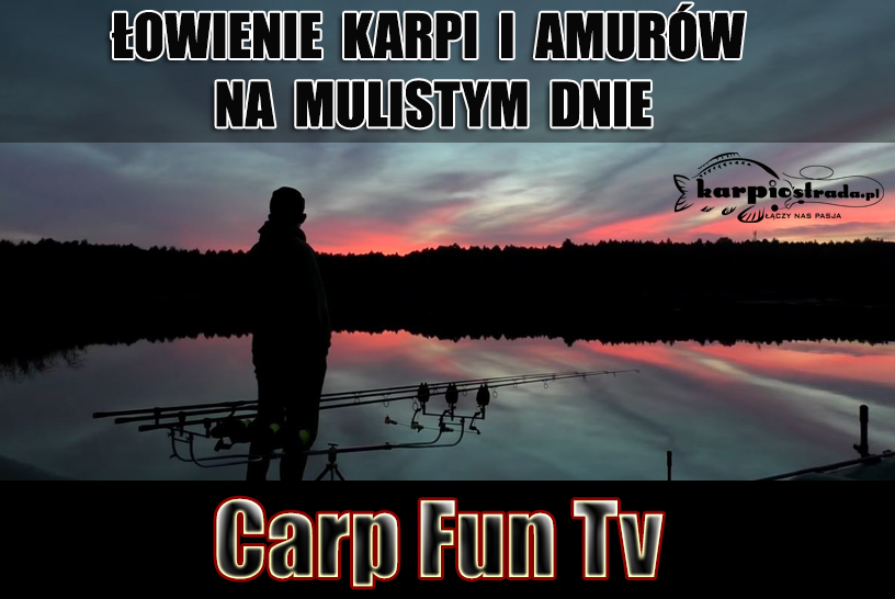 Carp Fun Tv