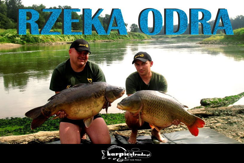 Łowienie karpi na rzece Odra