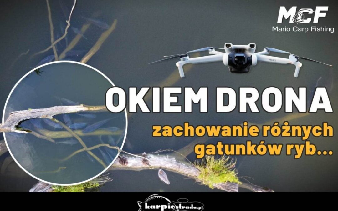 OKIEM DRONA | MARIO CARP FISHING
