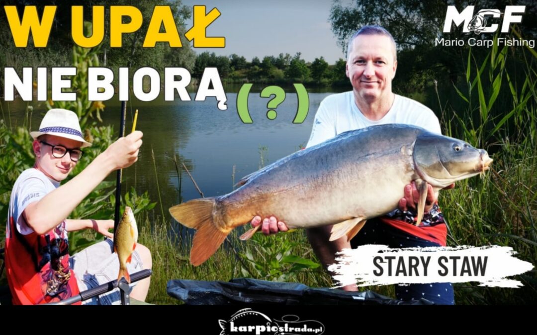 KARPIOWANIE W UPALE | MARIO CARP FISHING