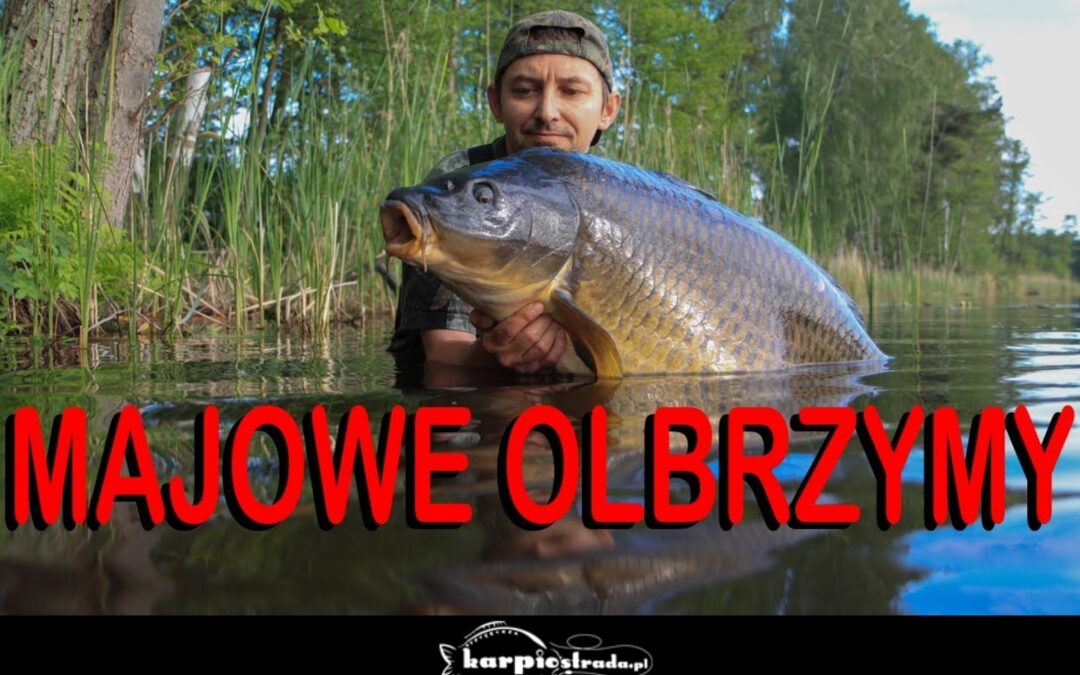 Kolejny film Carp Gravity z serii Nad Wodą