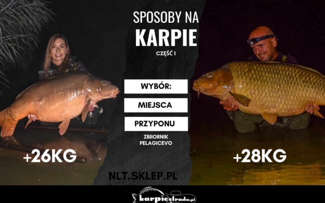 SPOSOBY NA KARPIE | CZ.1 | NLT