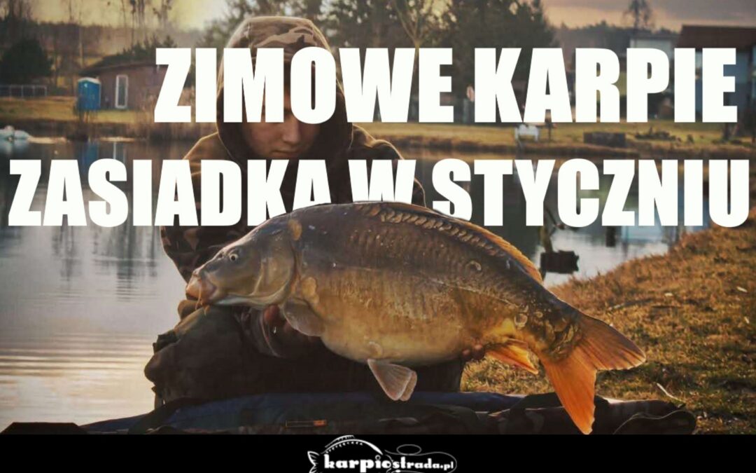 Zimowe łowienie karpi