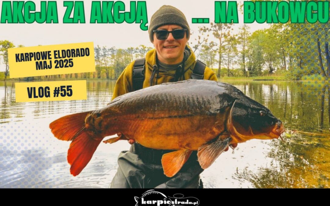 Karpiowe eldorado na łowisku Bukowiec