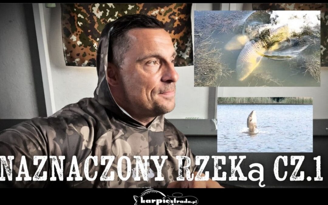 Łowienie karpi nad rzeką