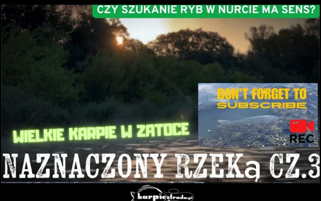 Film o łowieniu karpi z rzeki