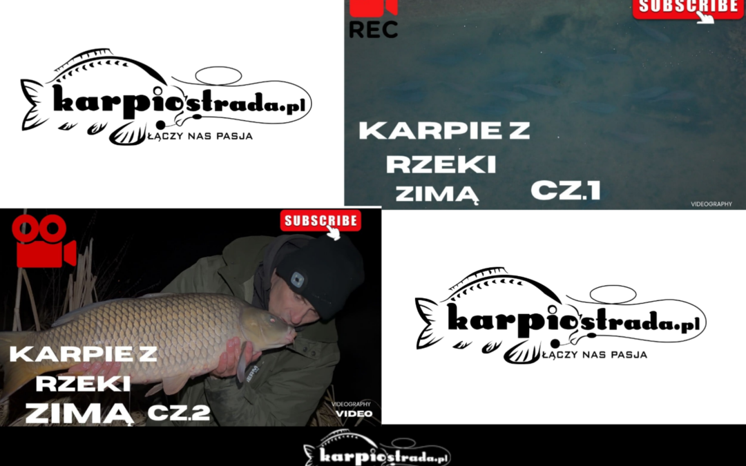 Łowienie karpi z rzeki w zimie